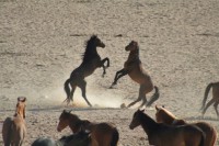 /album/fotos-afrika/img-8031-small-jpg/